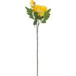 Gałązka rozwiniętej piwonii z pąkiem w kolorze żółtym - obrazek 2