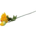 Gałązka rozwiniętej piwonii z pąkiem w kolorze żółtym - obrazek 3