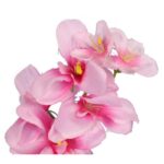 STORCZYK GAŁĄZKA 67CM KOLOR JASNO RÓŻOWY - obrazek 2