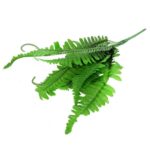 PAPROĆ BUKIET Z WĄSAMI 44 CM - obrazek 3