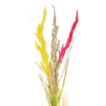 Palma wielkanocna ręcznie robiona 70cm płaska C - obrazek 3