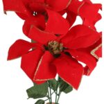 Bukiet 5 POINSECJI WELUROWYCH 56 cm KOLOR CZERWONY - obrazek 2