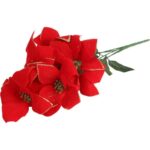 Bukiet 5 POINSECJI WELUROWYCH 56 cm KOLOR CZERWONY - obrazek 3