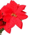 Czerwone Poinsecje w Doniczce - Bukiet 5 sztuk, Wysokość 35 cm - obrazek 2