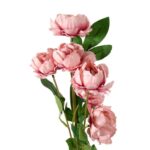 Sztuczna gałązka z 6 pudrowo-różowymi piwoniami - dekoracja wysokiej jakości - obrazek 2