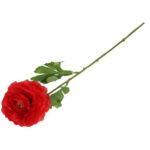 KACZENIEC KWIAT POJEDYNCZY KOLOR CZERWONY - obrazek 3