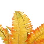 PAPROĆ BUKIET 12 GAŁĄZEK 44 CM KOLOR POMARAŃCZOWY - obrazek 2