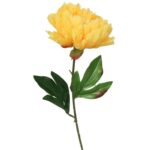 Sztuczna Piwonia w Kolorze Żółtym, Długość 60 cm - obrazek 2