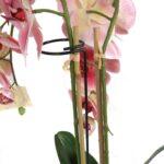 PODPORA DO KWIATÓW ROŚLIN 60CM - obrazek 3