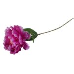 Sztuczna Piwonia w Kolorze Kremowym o Wysokości 74cm - obrazek 3