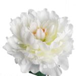 Sztuczna Piwonia w Kolorze Kremowym o Wysokości 74 cm - obrazek 2