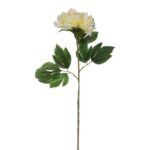 Piwonia Pojedyncza Żółta - Sztuczny Kwiat o Długości 74cm - obrazek 3