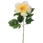 Piwonia Pojedyncza Żółta - Sztuczny Kwiat o Długości 74cm