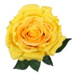 RÓŻA Z KOLCAMI JASNO ŻÓŁTA - obrazek 2