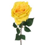 RÓŻA Z KOLCAMI JASNO ŻÓŁTA