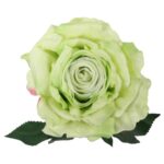 Róża sztuczna z kolcami, R-11 - obrazek 2