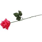 Róża sztuczna pojedynka w kolorze ciemno-różowym 68 cm - obrazek 3