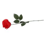 Róża pojedynka w kolorze czerwonym 68 cm - obrazek 3