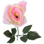 Róża pojedynka w kolorze jasno-różowym 68 cm - obrazek 3