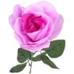 Róża pojedynka w kolorze wrzosowym 68 cm - obrazek 3