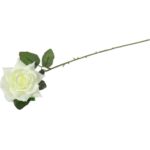 Róża rozwinięta w kolorze białym - obrazek 3