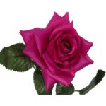 Róża rozwinięta w kolorze ciemno różowym - obrazek 2