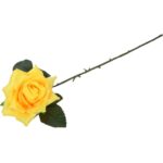 Róża rozwinięta w kolorze żółtym - obrazek 3