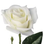 RÓŻA 62 cm KOLOR BIAŁY - obrazek 2