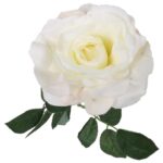 Róża biała, ROS-864-1B - obrazek 3