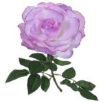 Fioletowa sztuczna róża 68 cm - obrazek 3