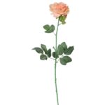 Róża pojedyncza, rozwinięta w kolorze łososiowym 68 cm - obrazek 2