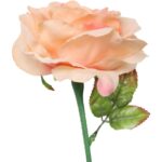 Róża pojedyncza, rozwinięta w kolorze łososiowym 68 cm - obrazek 3