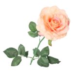 Róża pojedyncza, rozwinięta w kolorze łososiowym 68 cm