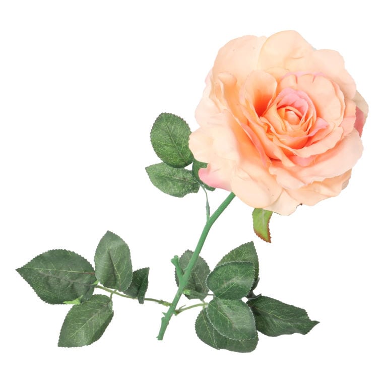 ROS864-1L Róża pojedyncza, rozwinięta w kolorze łososiowym 68 cm - obrazek 1