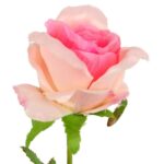 Róża sztuczna pojedynka w pąku kolor jasny róż 68 cm - obrazek 2