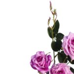 Gałązka Z Trzema Różami Wrzosowymi Sztucznymi - Dekoracja Wysokiej Jakości - obrazek 3