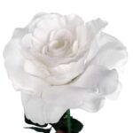 Sztuczna Gałązka Róży kolor Biały Dekoracja Wysokość 70 cm - obrazek 2