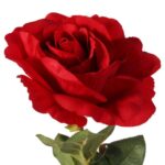 Sztuczna Gałązka Róży  kolor ciemno czerwony- Dekoracja Wysokość 70 cm - obrazek 2