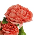 Gałązka DWÓCH PIWONII  z pąkiem w kolorze POMARAŃCZOWYM - obrazek 2