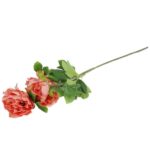 Gałązka DWÓCH PIWONII  z pąkiem w kolorze POMARAŃCZOWYM - obrazek 3