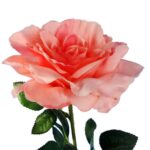 Sztuczna Gałązka Róży kolor Łososiowy Dekoracja Wysokość 70 cm - obrazek 2