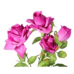 Gałązka z 4 Sztucznymi Różami Fioletowymi - Wyglądają Jak Żywe, Wysokość 80 cm - obrazek 2