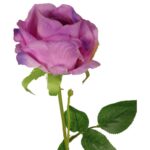 Sztuczna róża z pąkiem w kolorze fioletowym 68 cm - obrazek 3