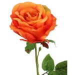 Róża pojedynczy kwiat w kolorze pomarańczowym 68 cm - obrazek 3