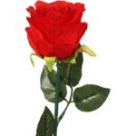 Sztuczna róża z pąkiem w bordowym kolorze 68 cm - obrazek 2