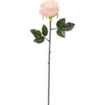 Róża pojedynka w kolorze kremowym 68 cm - obrazek 2