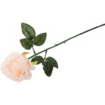 Róża pojedynka w kolorze kremowym 68 cm - obrazek 3