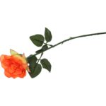 Róża pojedynka w kolorze pomarańczowym 68 cm - obrazek 3