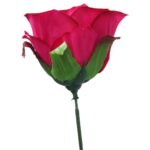 RÓŻA W PĄKU RÓŻOWA - obrazek 3