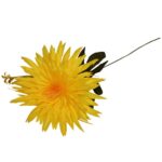 Żółty Sztuczny Kwiat Aster o Wysokości 55 cm - obrazek 3